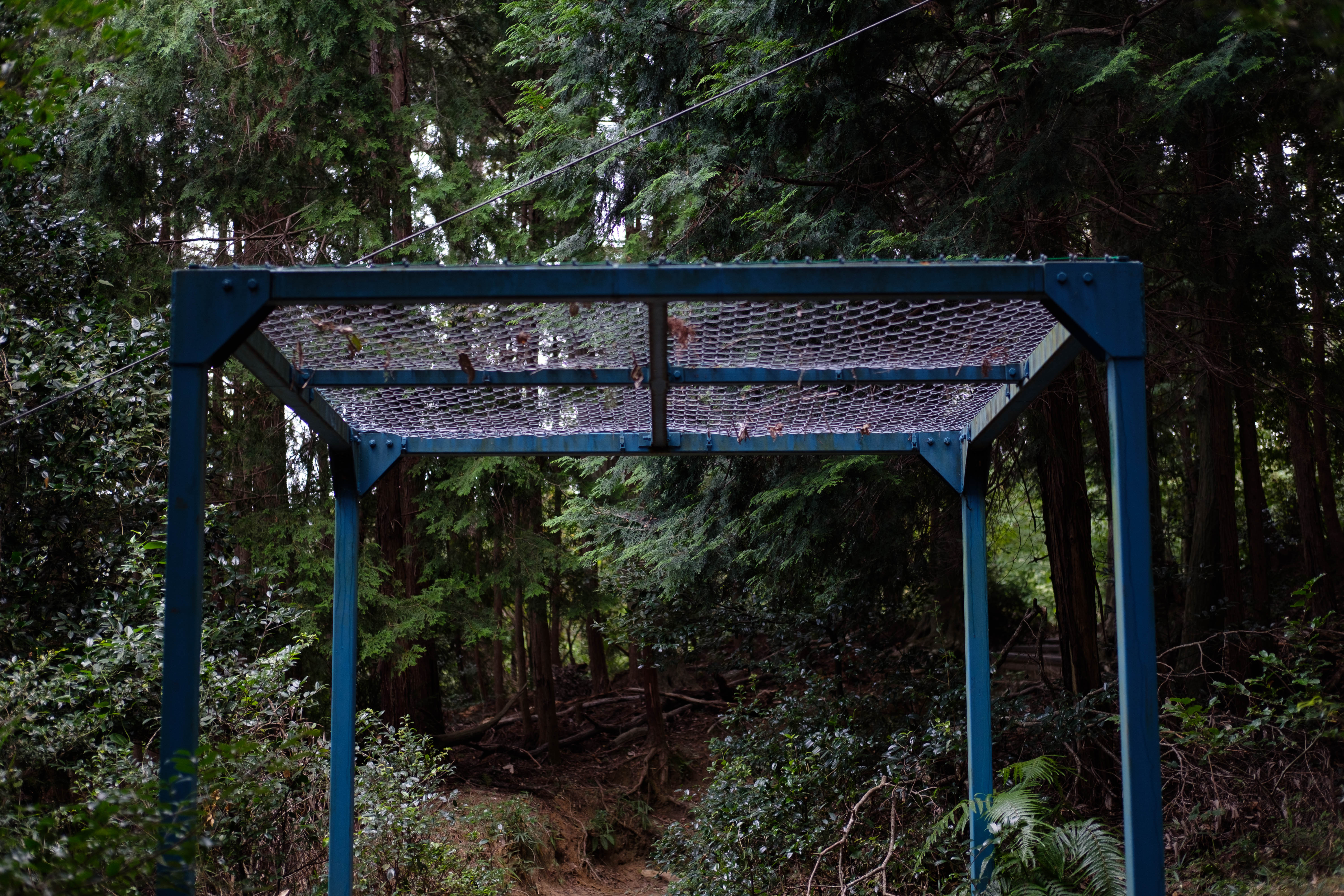 kyoto 大文字山 金網